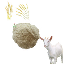 Wheat Gluten Meal Animal Feed 65%Min